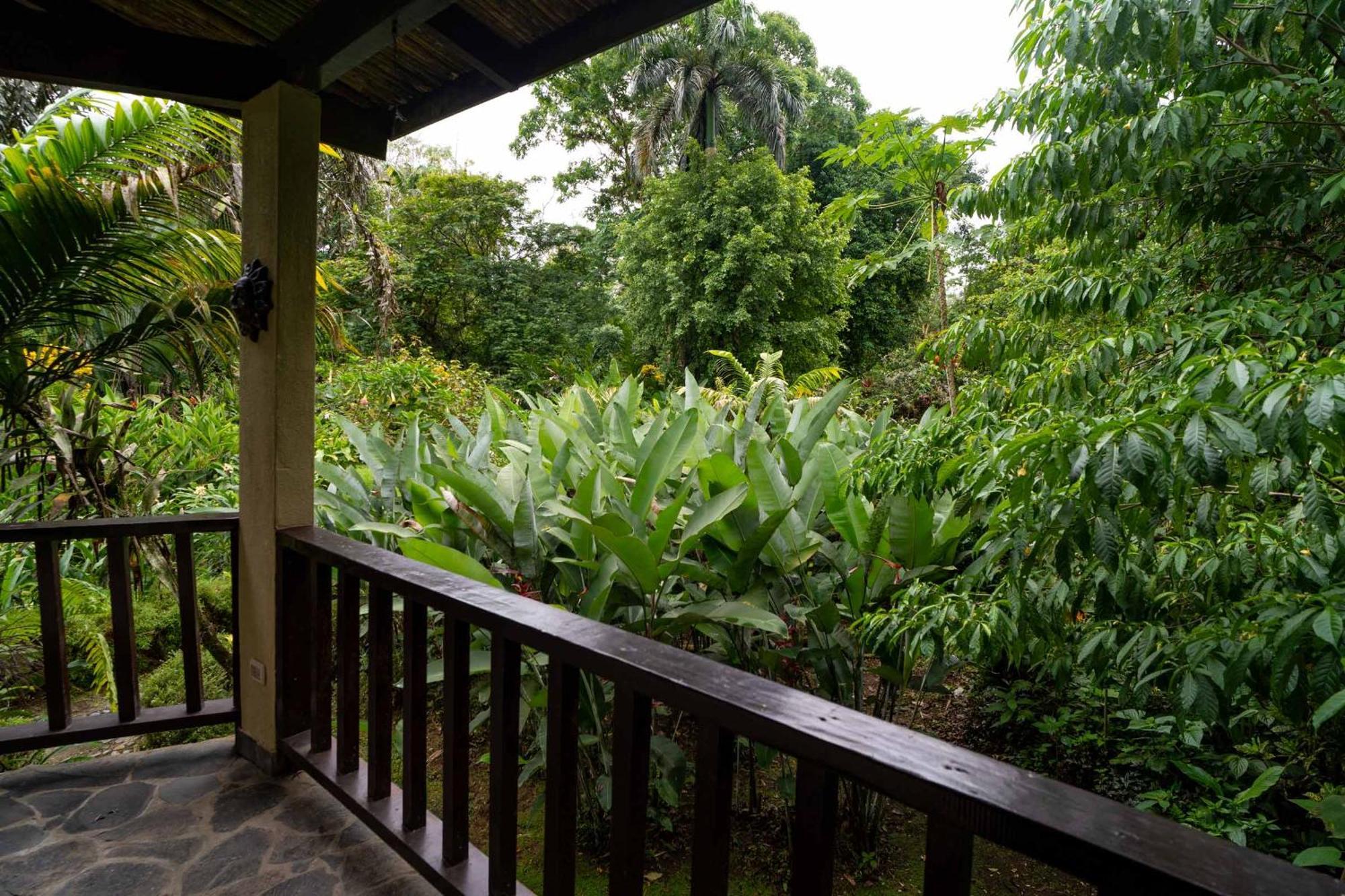 Heliconia Island Bed & Breakfast Las Horquetas Exterior photo