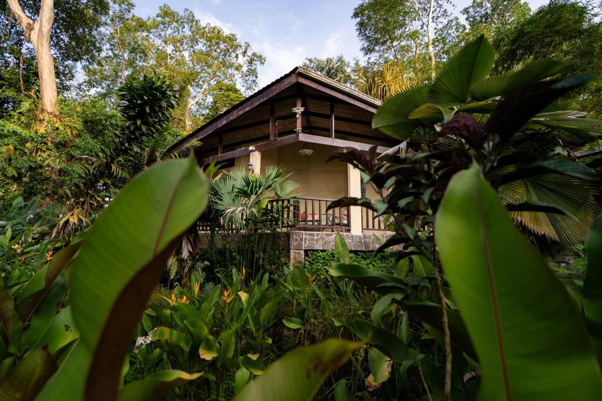Heliconia Island Bed & Breakfast Las Horquetas Exterior photo