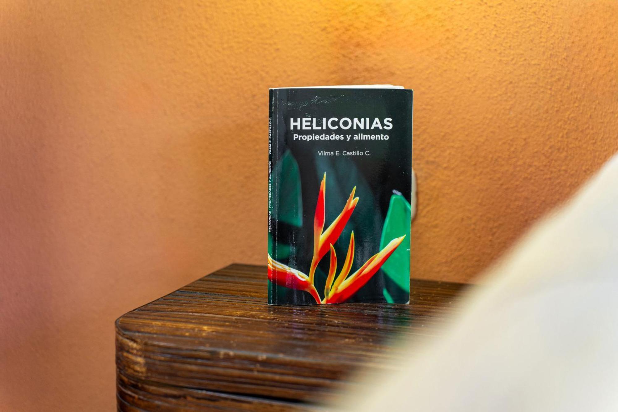 Heliconia Island Bed & Breakfast Las Horquetas Exterior photo