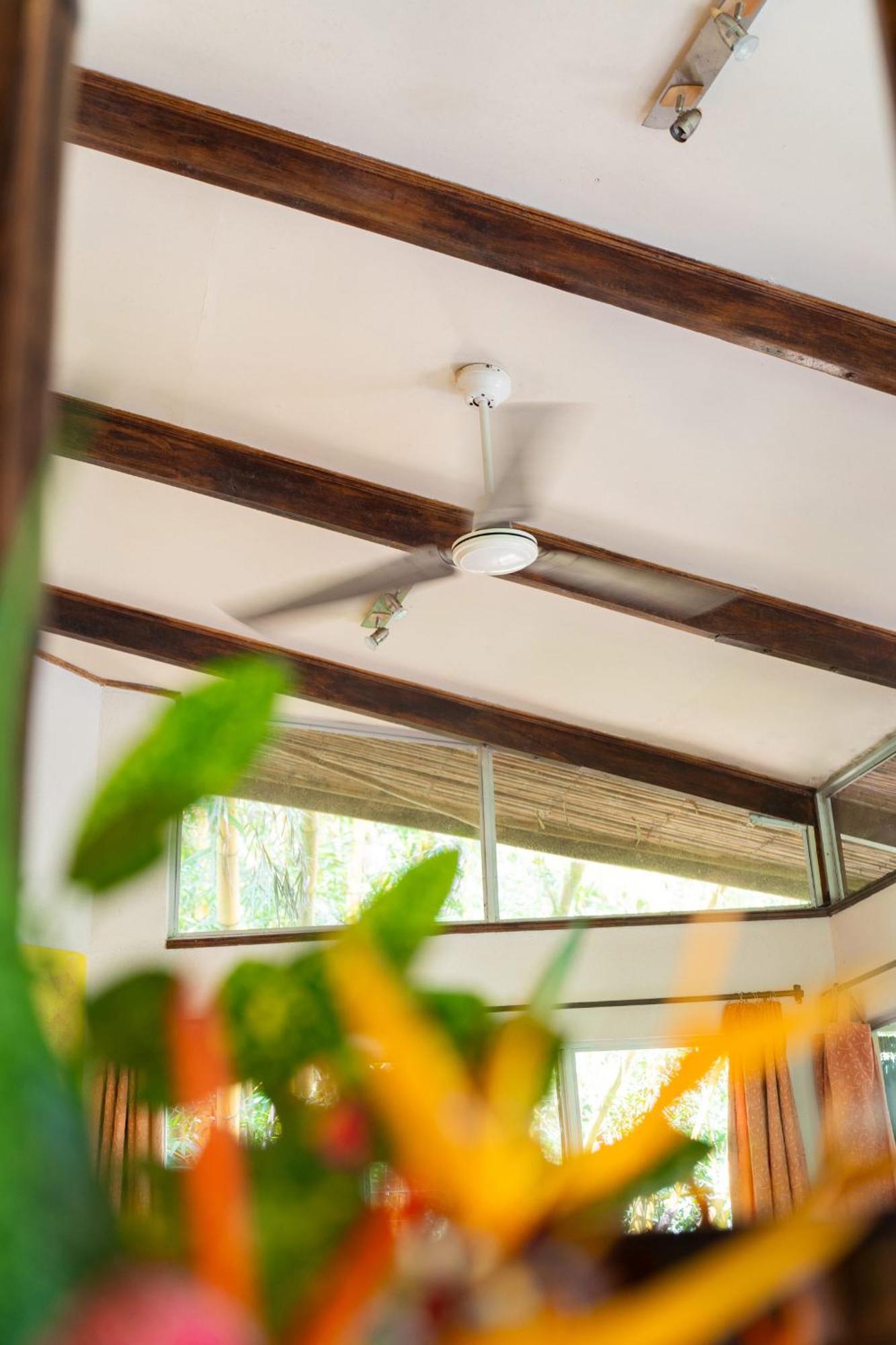 Heliconia Island Bed & Breakfast Las Horquetas Exterior photo